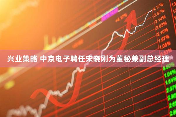 兴业策略 中京电子聘任宋晓刚为董秘兼副总经理