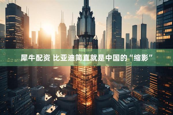 犀牛配资 比亚迪简直就是中国的“缩影”
