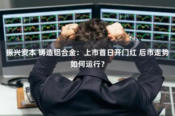 振兴资本 铸造铝合金：上市首日开门红 后市走势如何运行？