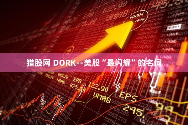猎股网 DORK--美股“最闪耀”的名词