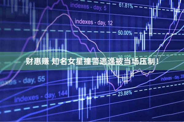 财惠赚 知名女星撞警逃逸被当场压制！